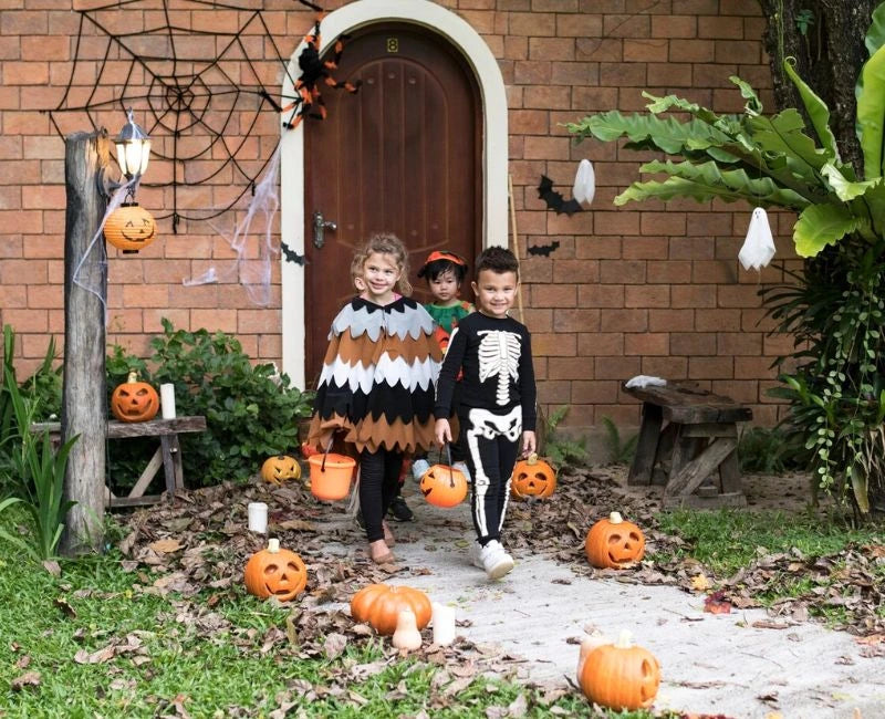 Decorate Your Garden for Halloween