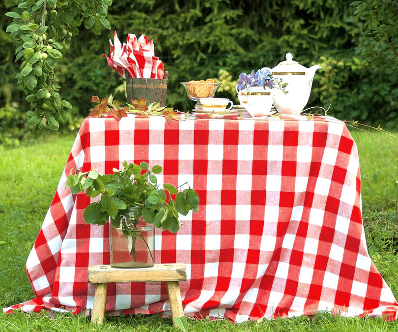 Red and white checkered tablecloth on a dining table.