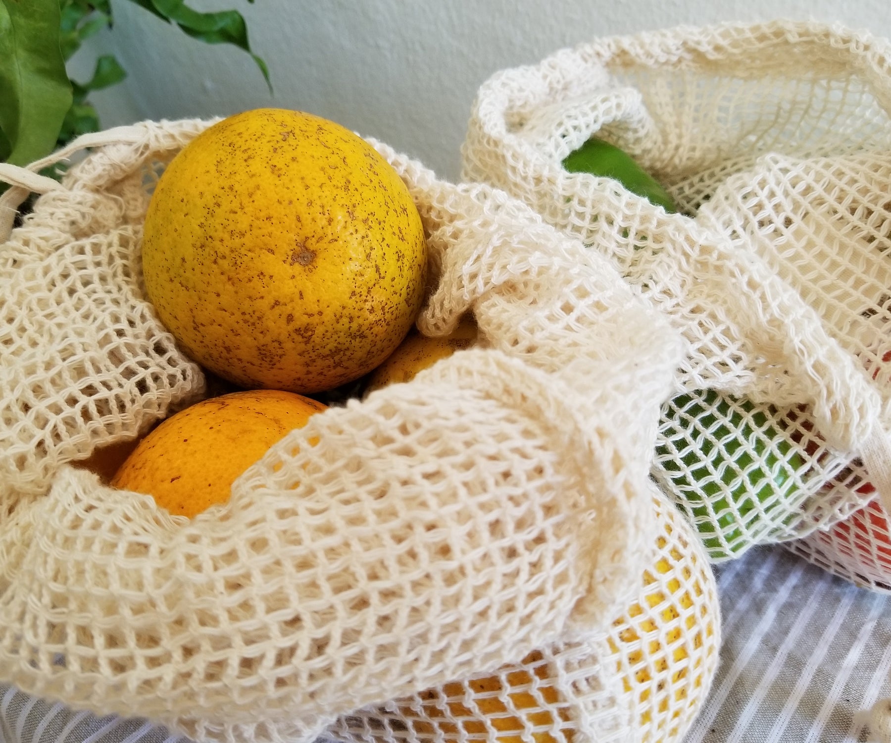 STOP Plastic Produce Bags! Switch Now to REUSEABLE Produce Bags